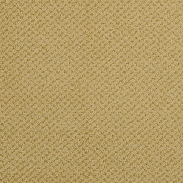Masland Carpets Seurat Amber Masland