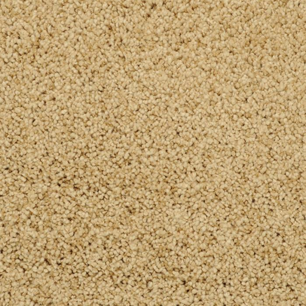 Masland Carpets Shangri-La Sondra Masland