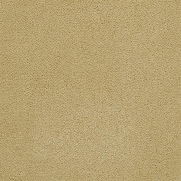 Masland Carpets Panache Limestone Masland