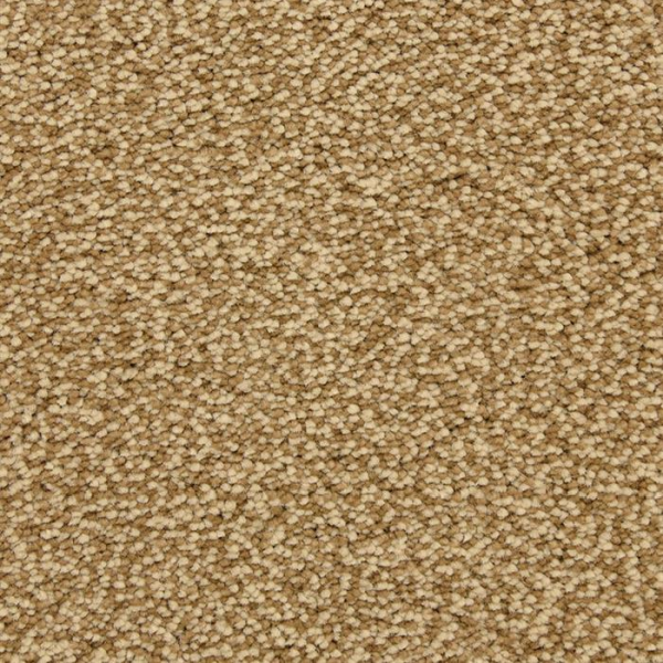 Masland Carpets Staccato Allegro Masland