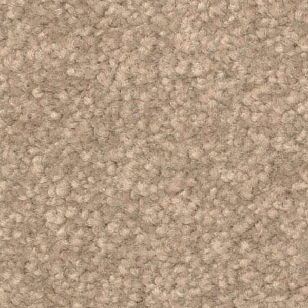 Dixie Home Inspiring Mushroom