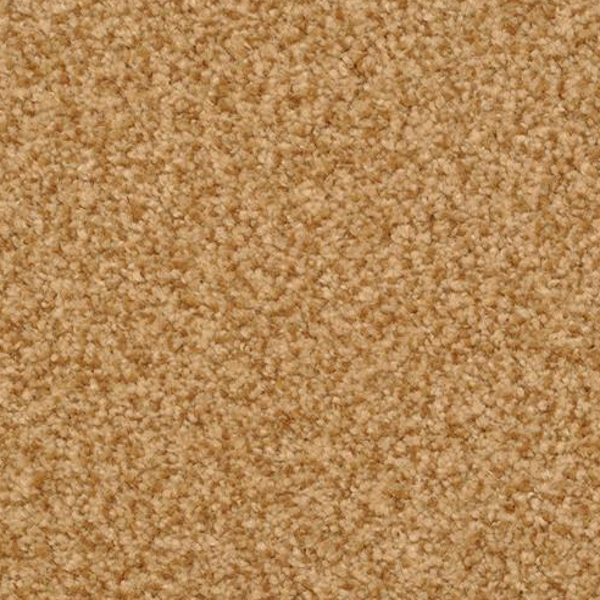 Dixie Home Chromatic Touch Earth