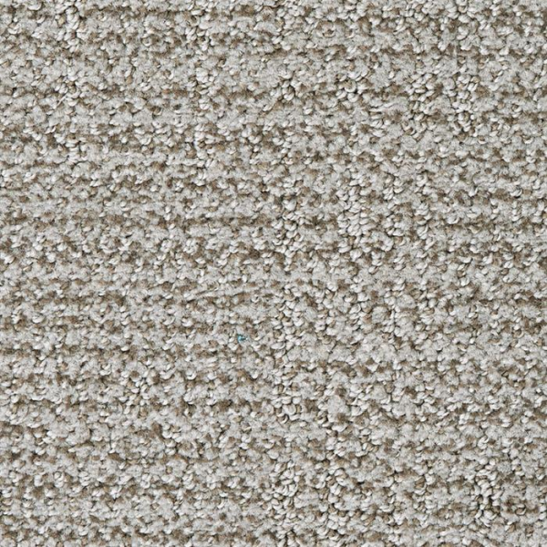 Masland Carpets Nueva Vista Vision Masland