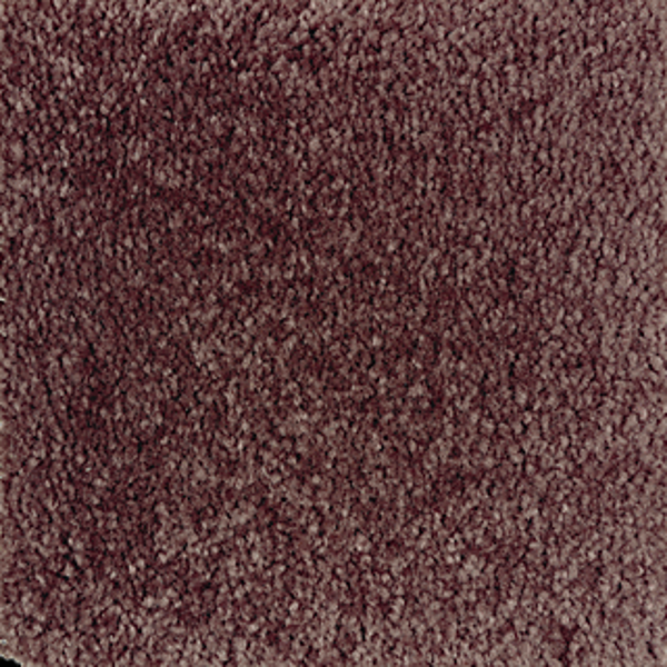 Mohawk Carpet Homefront III Mademoiselle Mohawk