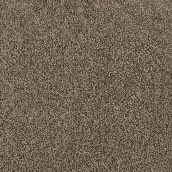 Dreamweaver Carpet Trendsetter I Smokey Taupe DREAMWEAVER
