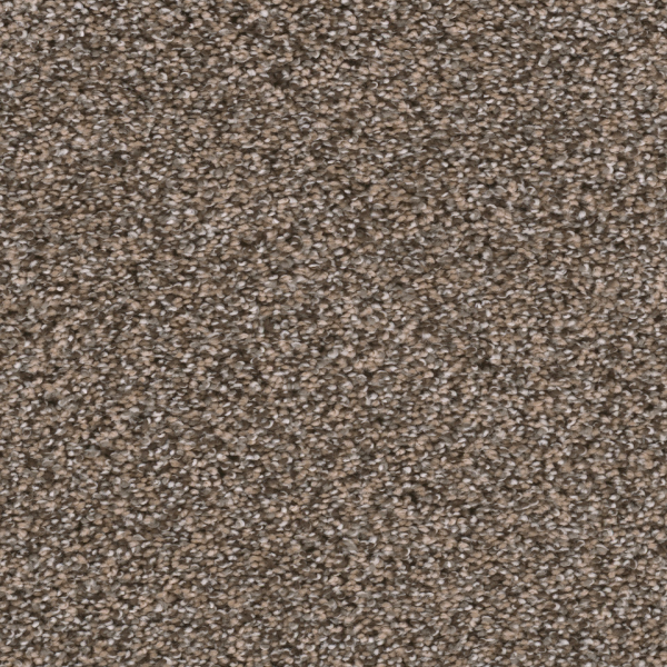 Dreamweaver Carpet Reflections III Smokey Taupe DREAMWEAVER