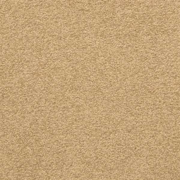 Masland Carpets Patriot Ancestral Masland