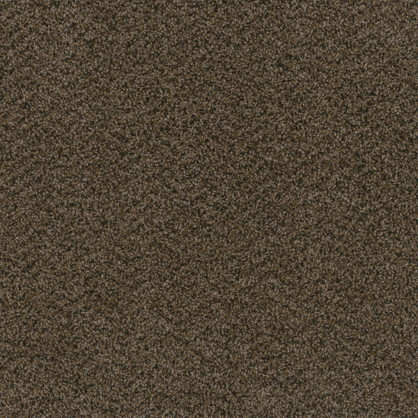 Dreamweaver Carpet Hot Pursuit Rustic Charm DREAMWEAVER