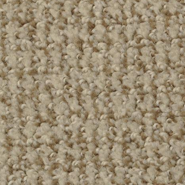 Dixie Home Boston Common Sand Motif