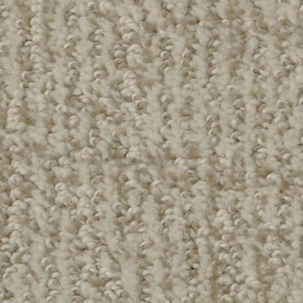 Dixie Home Cape Cod Fossil