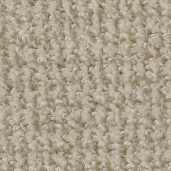 Dixie Home Boston Common Fossil