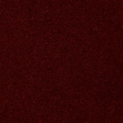 Aladdin Carpet Accelerator Plus Candy Apple MISSING