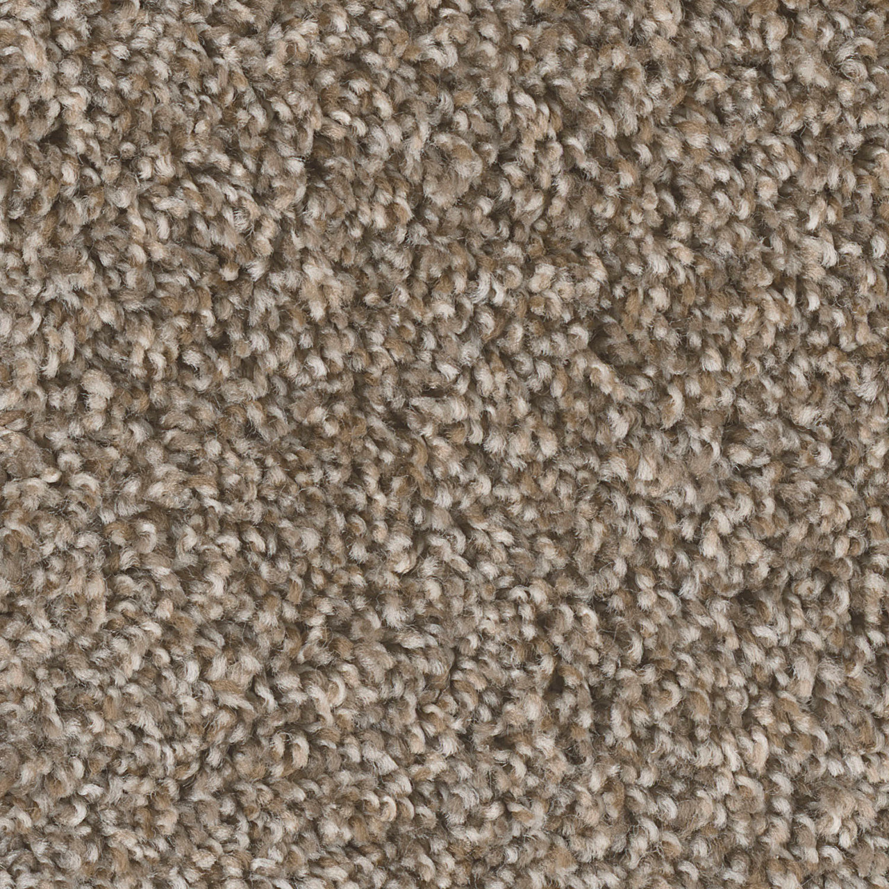 Dreamweaver Carpet West Brow Toasted Chestnut DREAMWEAVER