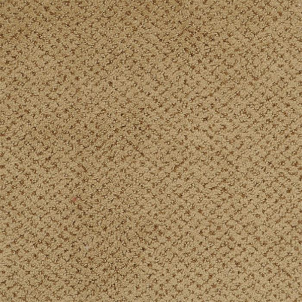 Masland Carpets Montauk Wainscot Masland