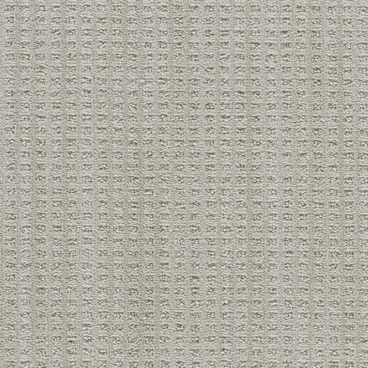 DW Select Carpet Dublin II Tweel DREAMWEAVER
