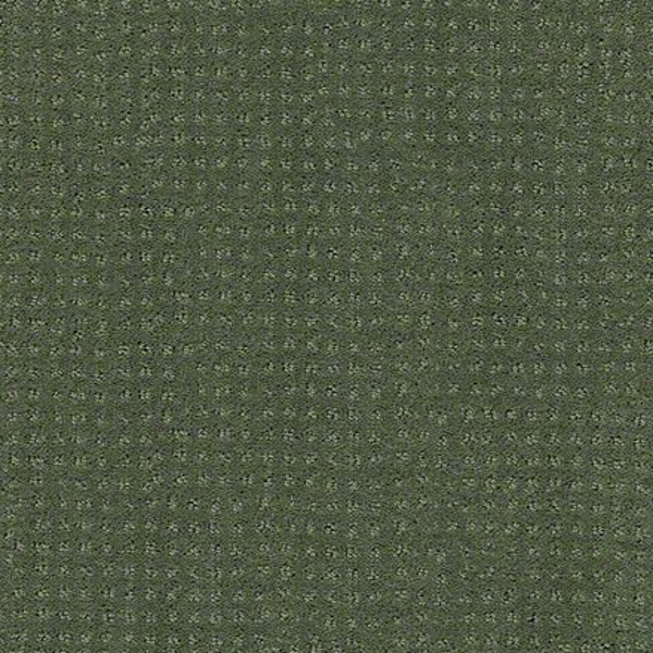 Shaw Floors Alluring Disposition Lush Garden SHAW