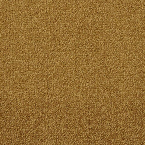 Masland Carpets Novellino Bronze Masland