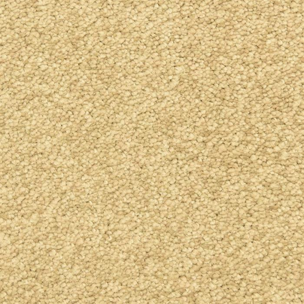 Masland Carpets Morgan Bay Rough Hewn Masland