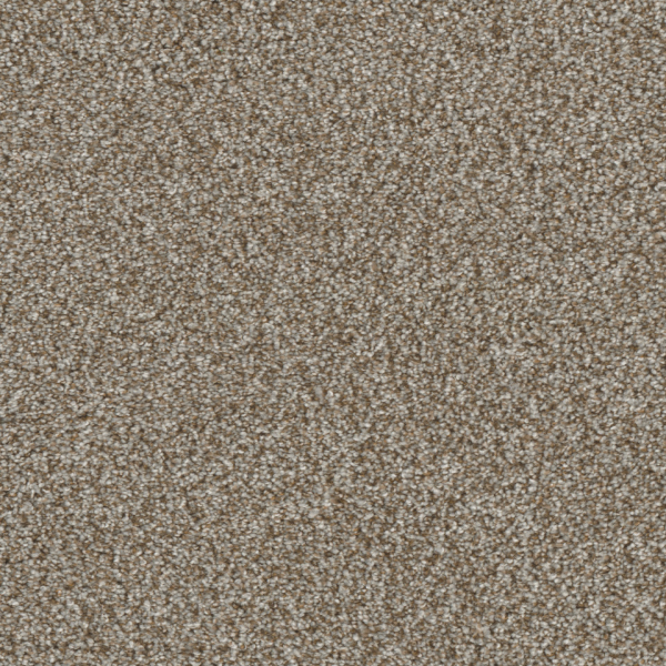 Dreamweaver Carpet Jackson Hole II Gravel DREAMWEAVER