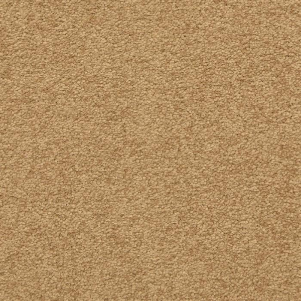 Masland Carpets Patriot Radiant Masland