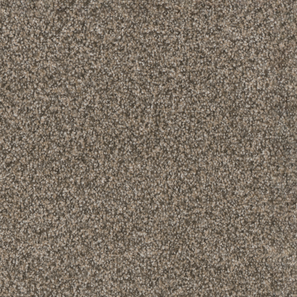 Dreamweaver Carpet Trendsetter I Trail Creek DREAMWEAVER