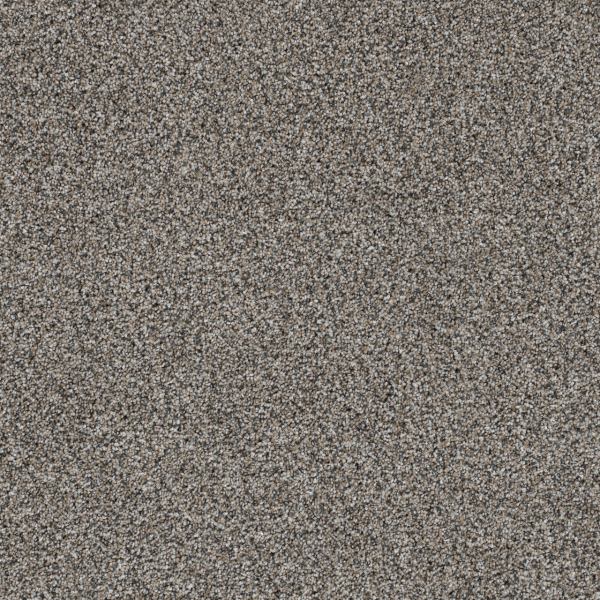 Dreamweaver Carpet Trendsetter I Luna Pearl DREAMWEAVER