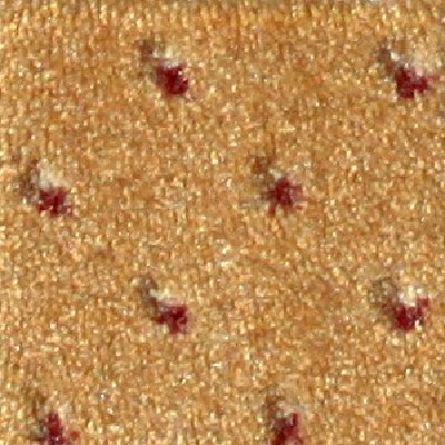 Milliken Carpets Legacy Golden Topaz