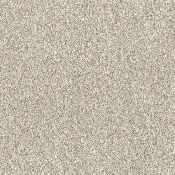Dreamweaver Carpet Affinity III Bisque DREAMWEAVER