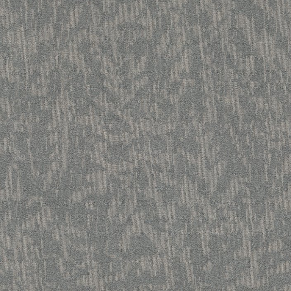 Philadelphia Commercial Modern Heirloom Willow Shaw