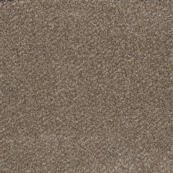 Dreamweaver Carpet Toast Of The Town Marble Heights DREAMWEAVER