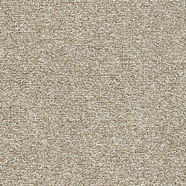 Dreamweaver Carpet Breakview I Grounded DREAMWEAVER