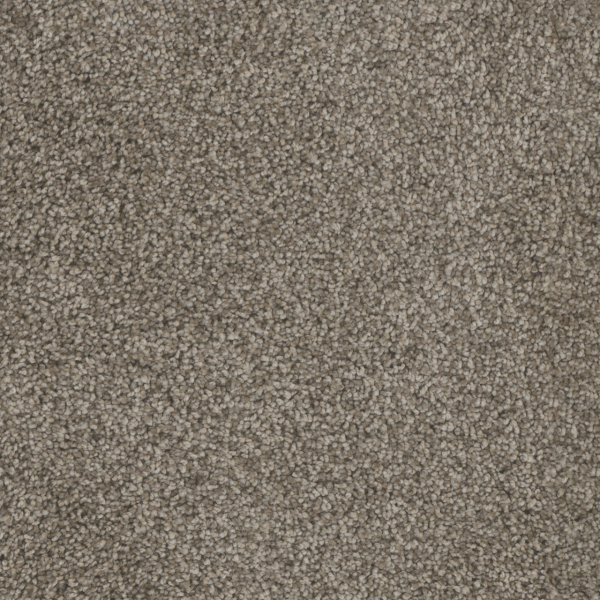 Dreamweaver Carpet Trendsetter II Soft Tan DREAMWEAVER