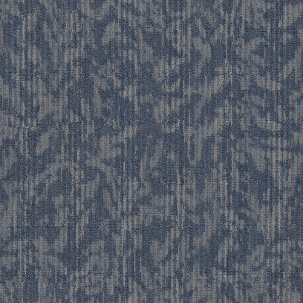 Philadelphia Commercial Modern Heirloom Larkspur Shaw