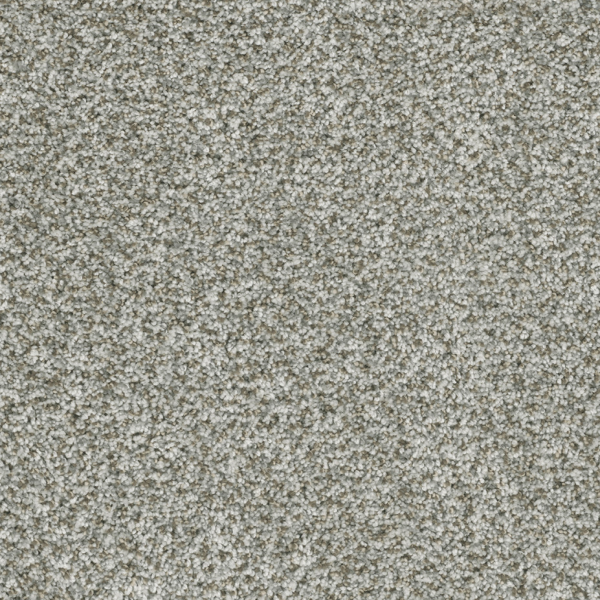 Dreamweaver Carpet Brazen I Purity DREAMWEAVER