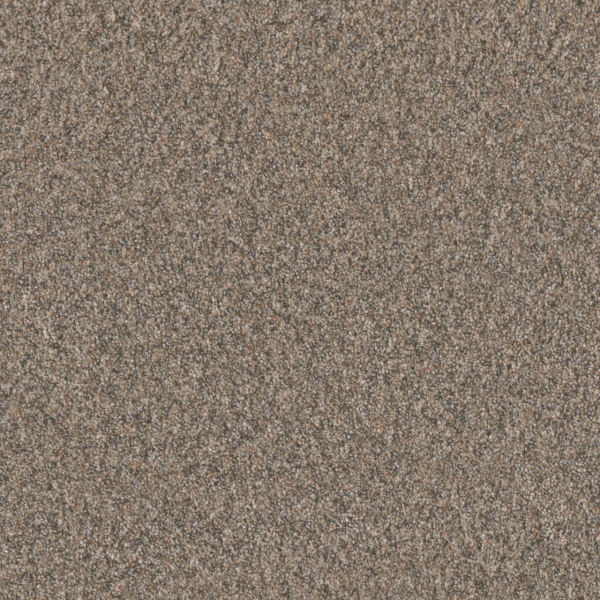 Dreamweaver Carpet Timberline I Baked Apple DREAMWEAVER