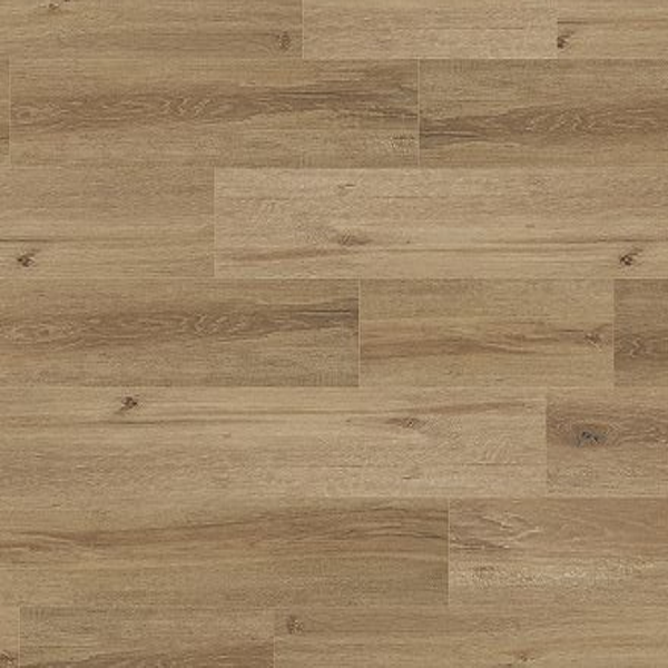 COREtec Plus COREtec Premium XL Grande Goldin Oak US FLOORS, LLC