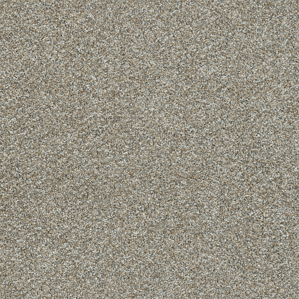 Dreamweaver Carpet Affinity III Gravel DREAMWEAVER