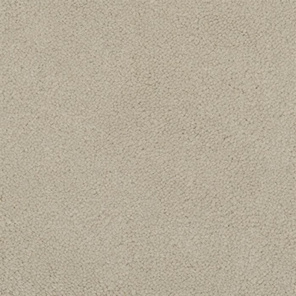 Masland Carpets Panache Avena Masland