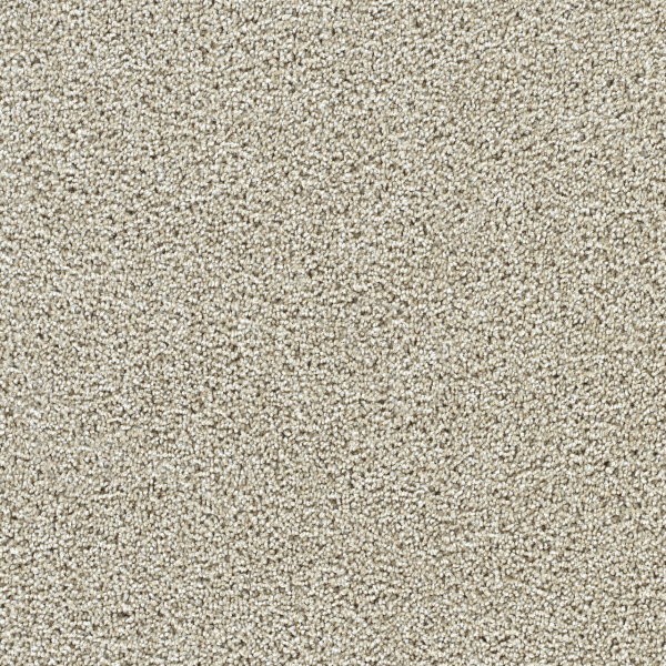 Dreamweaver Carpet Captivating II Wheat Grass DREAMWEAVER