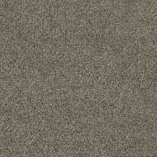Dreamweaver Carpet Hollywood Smoky Quartz DREAMWEAVER