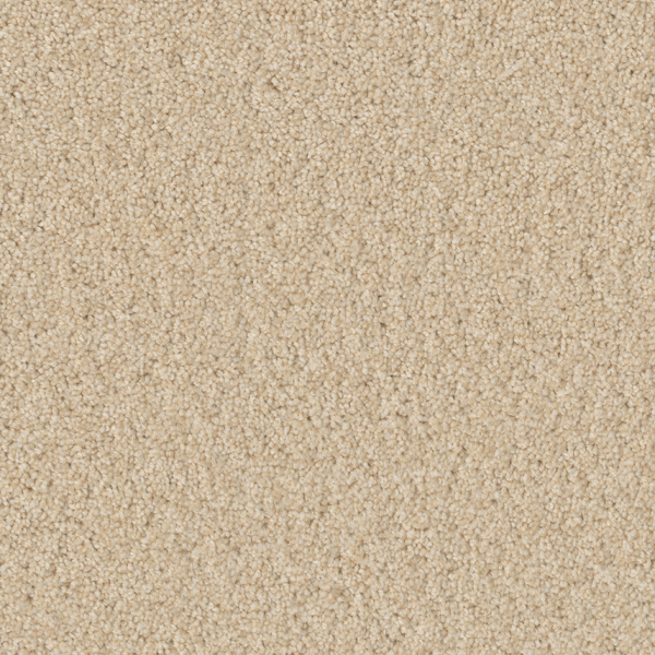 Dreamweaver Carpet Broadcast Plus Classic Ivory DREAMWEAVER