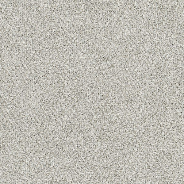 Dreamweaver Carpet Lucky Penny II Vera Cruz DREAMWEAVER