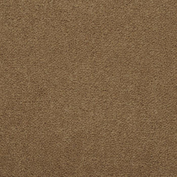 Masland Carpets Panache Fawn Masland