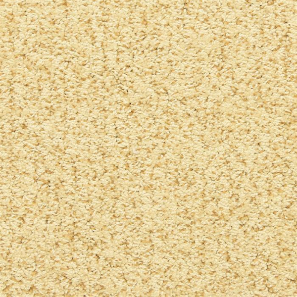 Masland Carpets Sea Grass Star Fish Masland