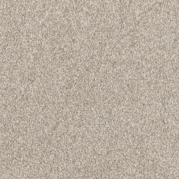 Dreamweaver Carpet Affinity II Plateau DREAMWEAVER