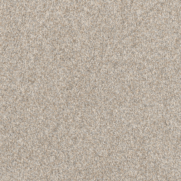 Dreamweaver Carpet Affinity III Plateau DREAMWEAVER