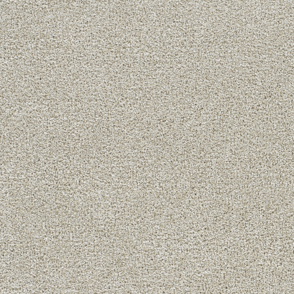 Dreamweaver Carpet Lucky Penny II Temple DREAMWEAVER