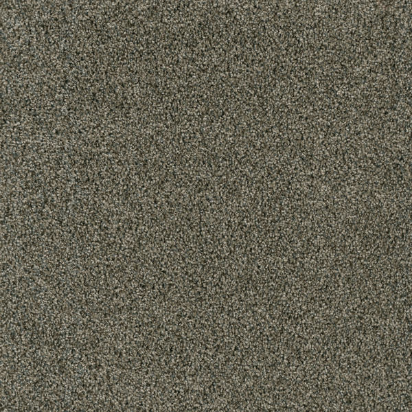 Dreamweaver Carpet Yellowstone Midnight Shadow DREAMWEAVER