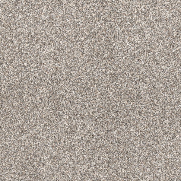 Dreamweaver Carpet Affinity I Classy DREAMWEAVER