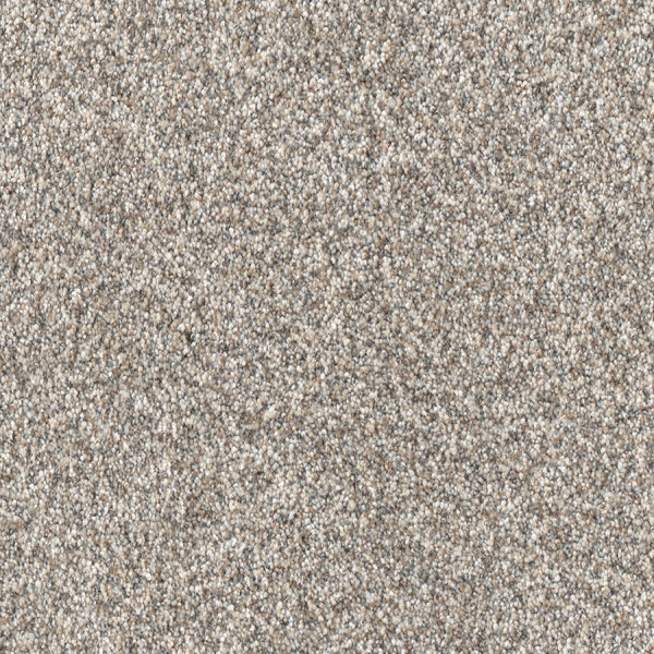 Dreamweaver Carpet Affinity II Classy DREAMWEAVER